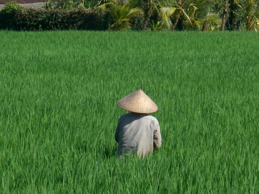 卡巴卡巴别墅度假村 坎古 外观 照片